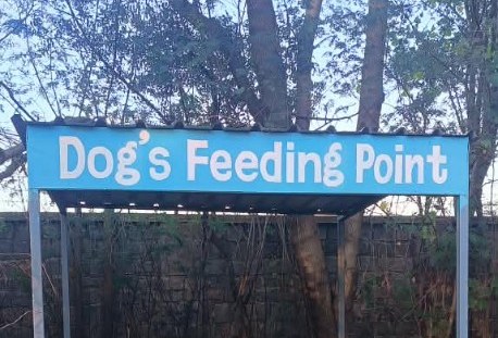 Dog feeding point near AC plant at hostel blocks