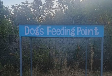 Dog feeding point near L and T gate