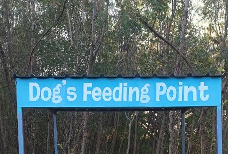 Dog feeding point near Mamidipally gate
